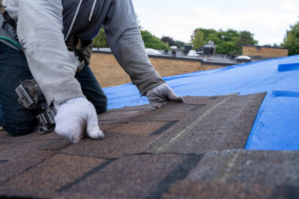 Best Roof Leak Repair  in Allyn, WA