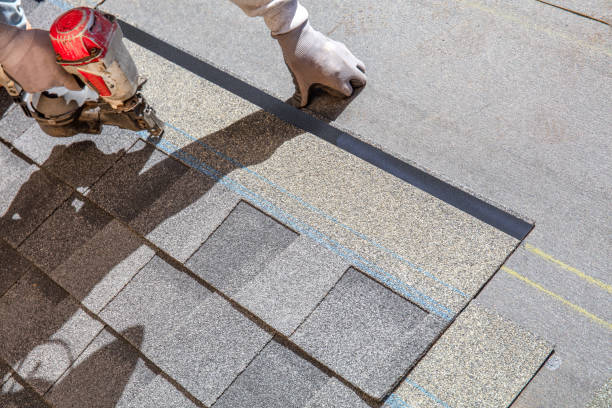 Best Roof Maintenance Services  in Allyn, WA
